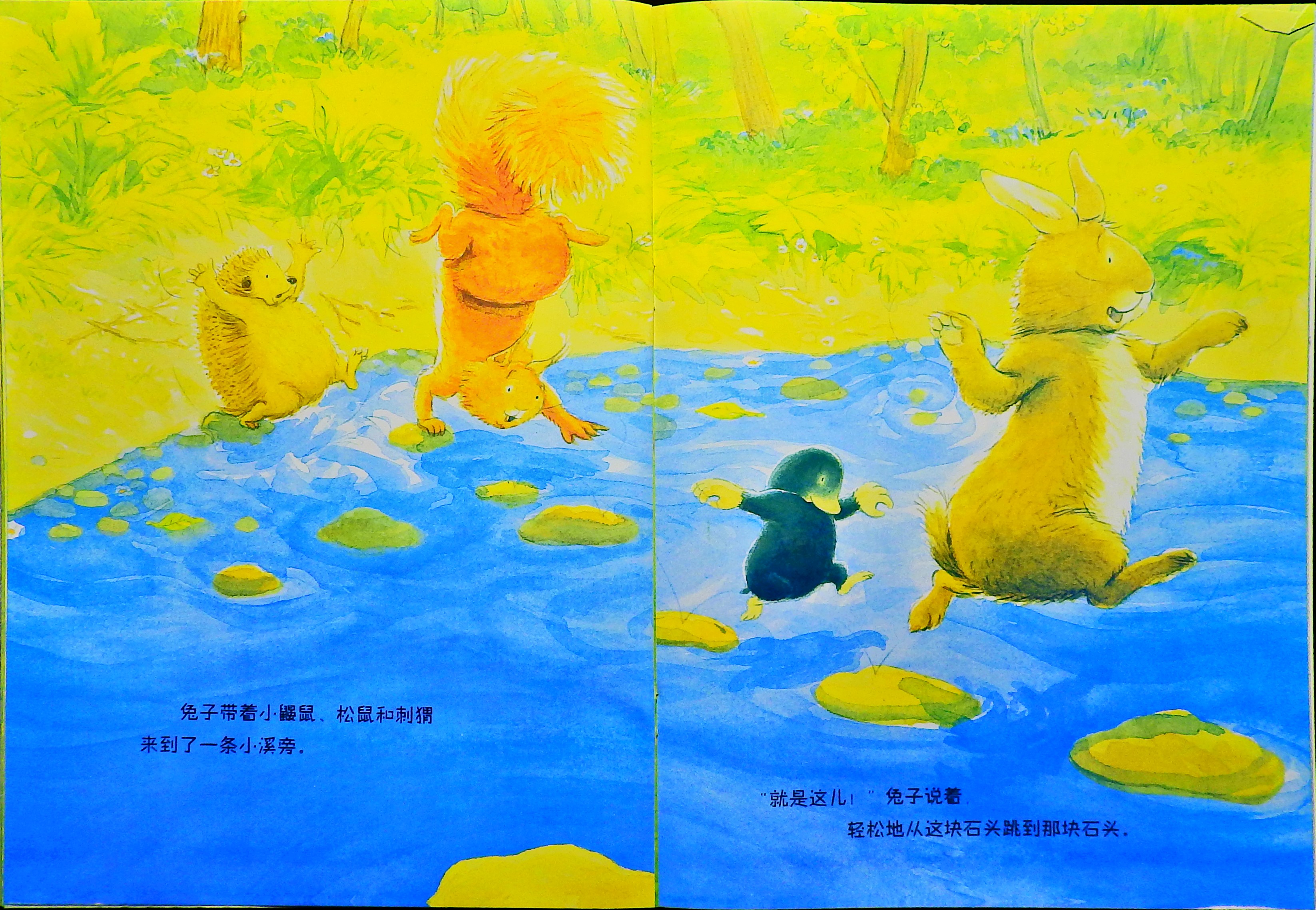 小鼹鼠找新家 (10),绘本,绘本故事,绘本阅读,故事书,童书,图画书,课外阅读